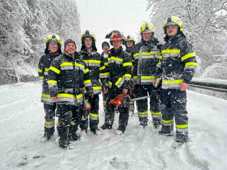 Einsatzserie_FF-Mautern_Schnee_02.12 (1)