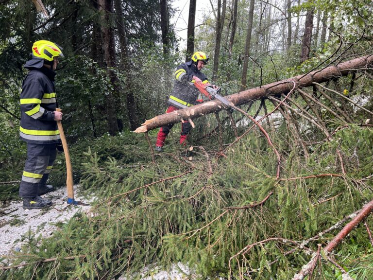 15.09.2024 | T07 – Sturmeinsätze im Ortsgebiet